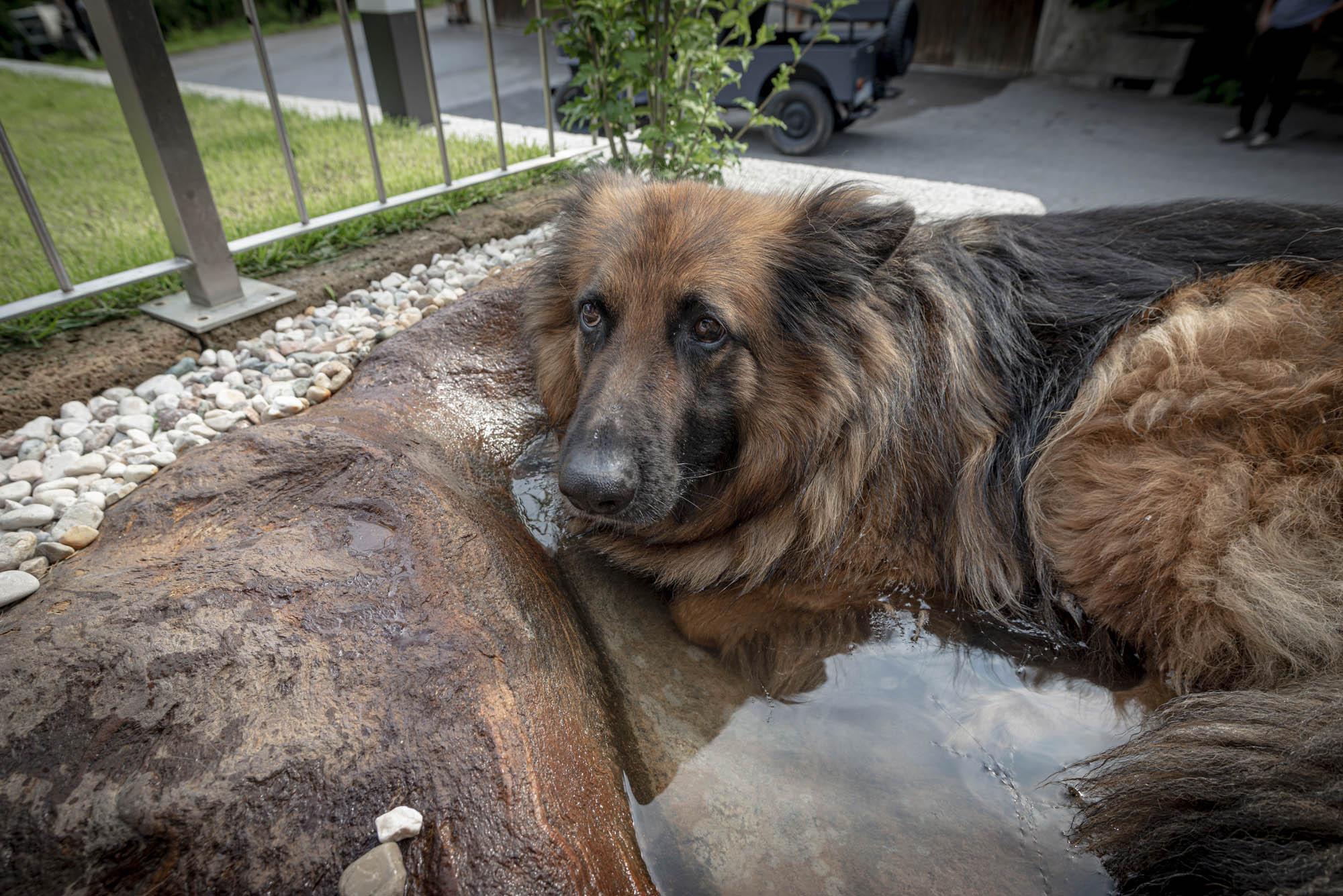 Unsere Tiere 5 Unsere Tiere svg+xml;charset=utf